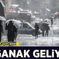 Hava