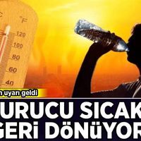 Hava