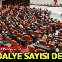 Politika