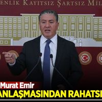Siyaset