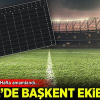 Spor