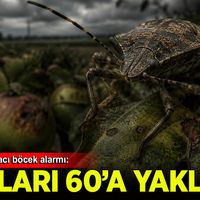 Gündem