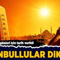 Hava