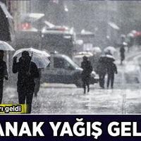 Hava