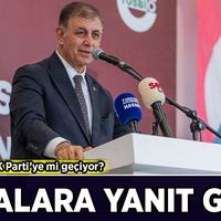 Siyaset