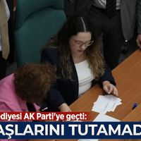 Siyaset