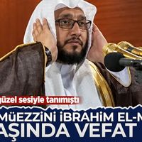Dünya