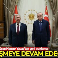 Siyaset