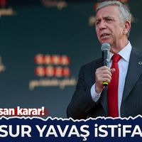 Siyaset