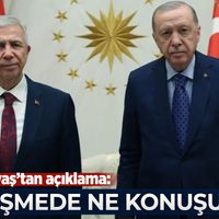 Siyaset