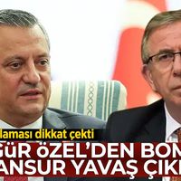 Siyaset