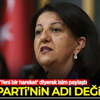 Siyaset