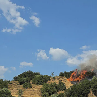 Manisa