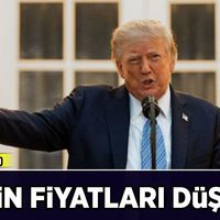 Dünya