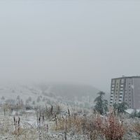 Hava