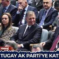 Siyaset