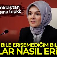 Siyaset