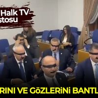 Siyaset