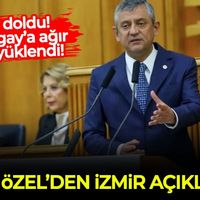 Siyaset