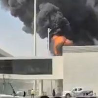 Dünya