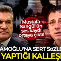 Siyaset