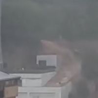 Gündem