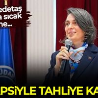 Siyaset