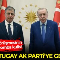 Siyaset
