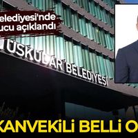 Siyaset