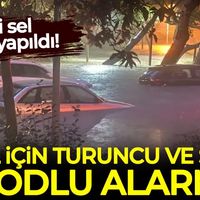 Hava