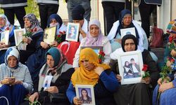 Diyarbakır annelerinden Akşener'e tepki: Masanın altından çekindi