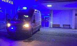 Ordu'da elma ağacından düşen yaşlı adam hayatını kaybetti