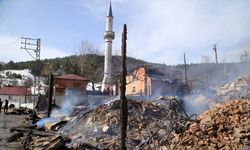 Kastamonu'da bir köy neredeyse tamamen yandı
