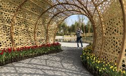 Hollanda'da Dünya Bahçecilik Fuarı başladı