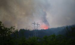 Hatay'da ormanlık alanda yangın iki noktada sürüyor