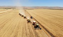 Muş'ta çiftçiye tohum desteği: 350 çiftçiye 278 ton tohum dağıtıldı