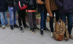 İstanbul'da yasa dışı göçmen operasyonu: 503 kişi yakalandı