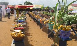 AB'den Gana'ya 44,7 milyon avroluk tarım kredisi