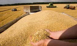 Zelenskiy: 22 milyon ton tahıl depolarda bekletiliyor
