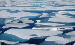 Kuzey Kutbu ortalamadan fazla ısındı