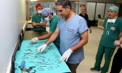Van'da bir hastanın midesinden 158 parça yabancı cisim çıkarıldı