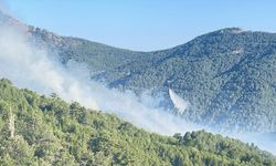 Kütahya'da çıkan orman yangınına müdahale ediliyor