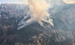 AFAD, Mersin'deki orman yangınına ilişkin detayları paylaştı