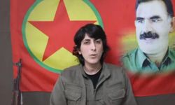 CHP'nin 'gazeteci' dediği, PKK'lı terörist Dilşah Ercan böyle ortaya çıktı