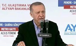 Başkan Erdoğan İBB'ye tepki: Bu İstanbul'un belediye başkanı ne iş yapar?