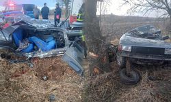 Kırklareli'nde ağaca çarpan otomobilin sürücüsü hayatını kaybetti