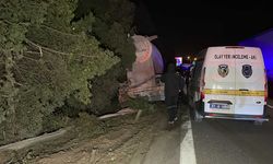 Adana'da bariyerlere çarpan silobasın sürücüsü hayatını kaybetti