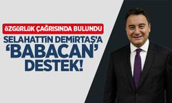Selahattin Demirtaş'a 'Babacan' destek!