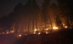 Kaz Dağları'nda çıkan örtü yangınına ekiplerce müdahale ediliyor