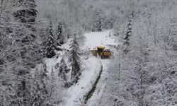 Kastamonu'da yoğun kar yolları kapattı: 7 köye ulaşım sağlanamıyor